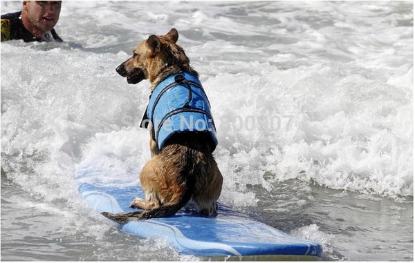 Terriers Life Jacket - 4 Terriers Only