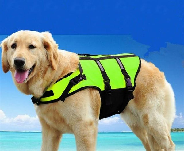Terriers Life Jacket - 4 Terriers Only