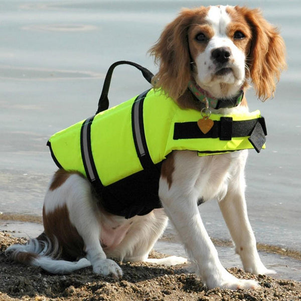Terriers Life Jacket - 4 Terriers Only