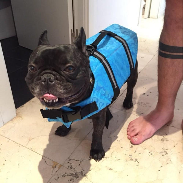 Terriers Life Jacket - 4 Terriers Only