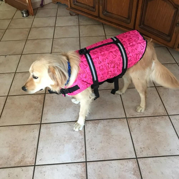 Terriers Life Jacket - 4 Terriers Only