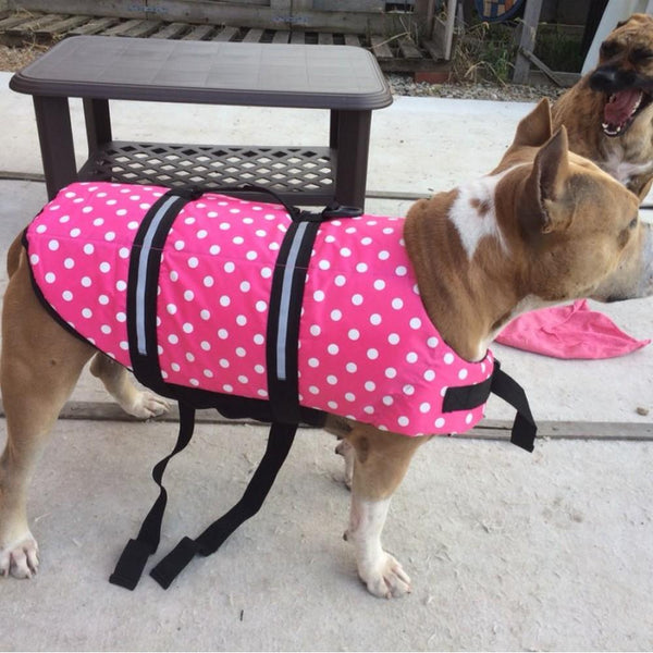 Terriers Life Jacket - 4 Terriers Only