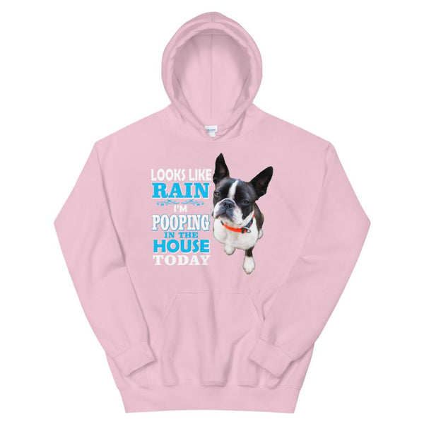 Unisex Hoodie - With Your Own Dogs Photo On It! - 4 Terriers Only