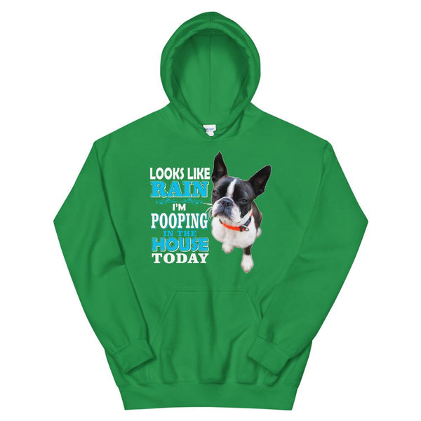 Unisex Hoodie - With Your Own Dogs Photo On It! - 4 Terriers Only