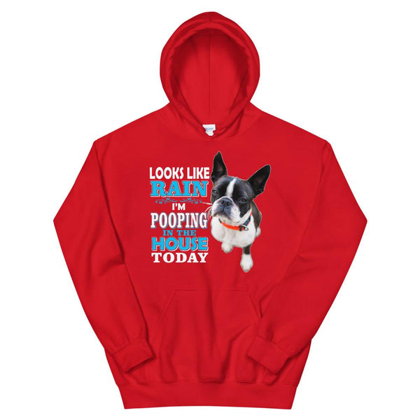 Unisex Hoodie - With Your Own Dogs Photo On It! - 4 Terriers Only
