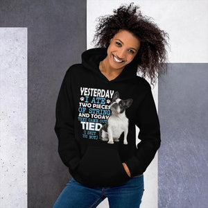 Unisex Hoodie - With Your Own Dogs Photo Printed On It! - 4 Terriers Only