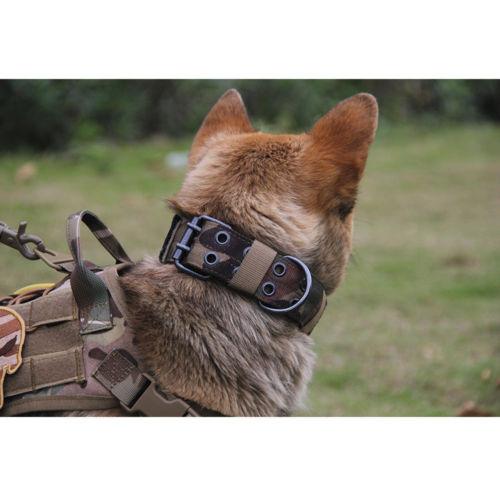 US Tactical Military Adjustable Dog Training Collar - 4 Terriers Only